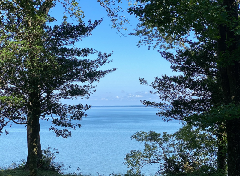 1387 N Independence Dr - Photo 4 of 25