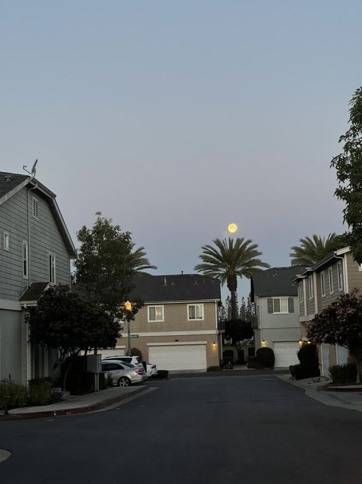 1009 Bayberry Ct - Photo 3 of 11