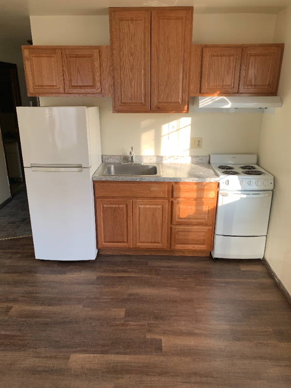 454 W Dayton St - Photo 3 of 9