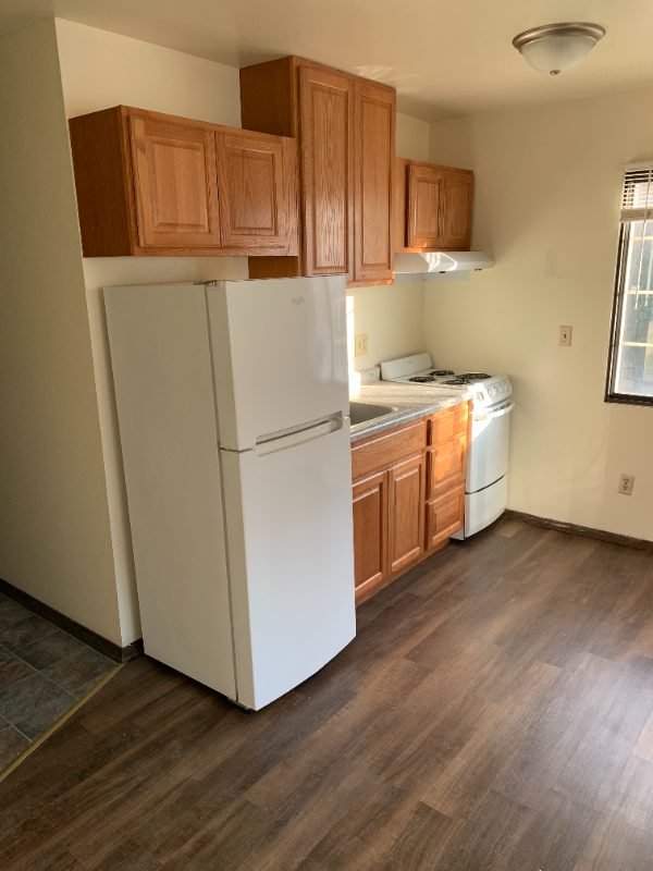 454 W Dayton St - Photo 4 of 9