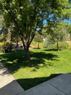 11155 Ringtail Rd #1 - Photo 6 of 48