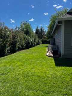 11155 Ringtail Rd #1 - Photo 7 of 48