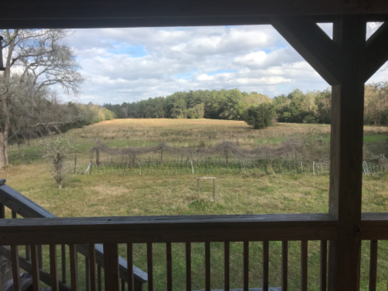 48060 Horizon Trl - Photo 3 of 3