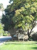 148 Sierra Dr - Photo 1 of 1