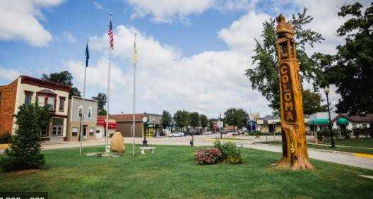 460 N Paw Paw St - Photo 4 of 8