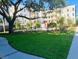 featured image of 111 Gascoigne Ave #204