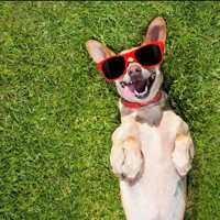 featured image of 13658 Oconnor Rd