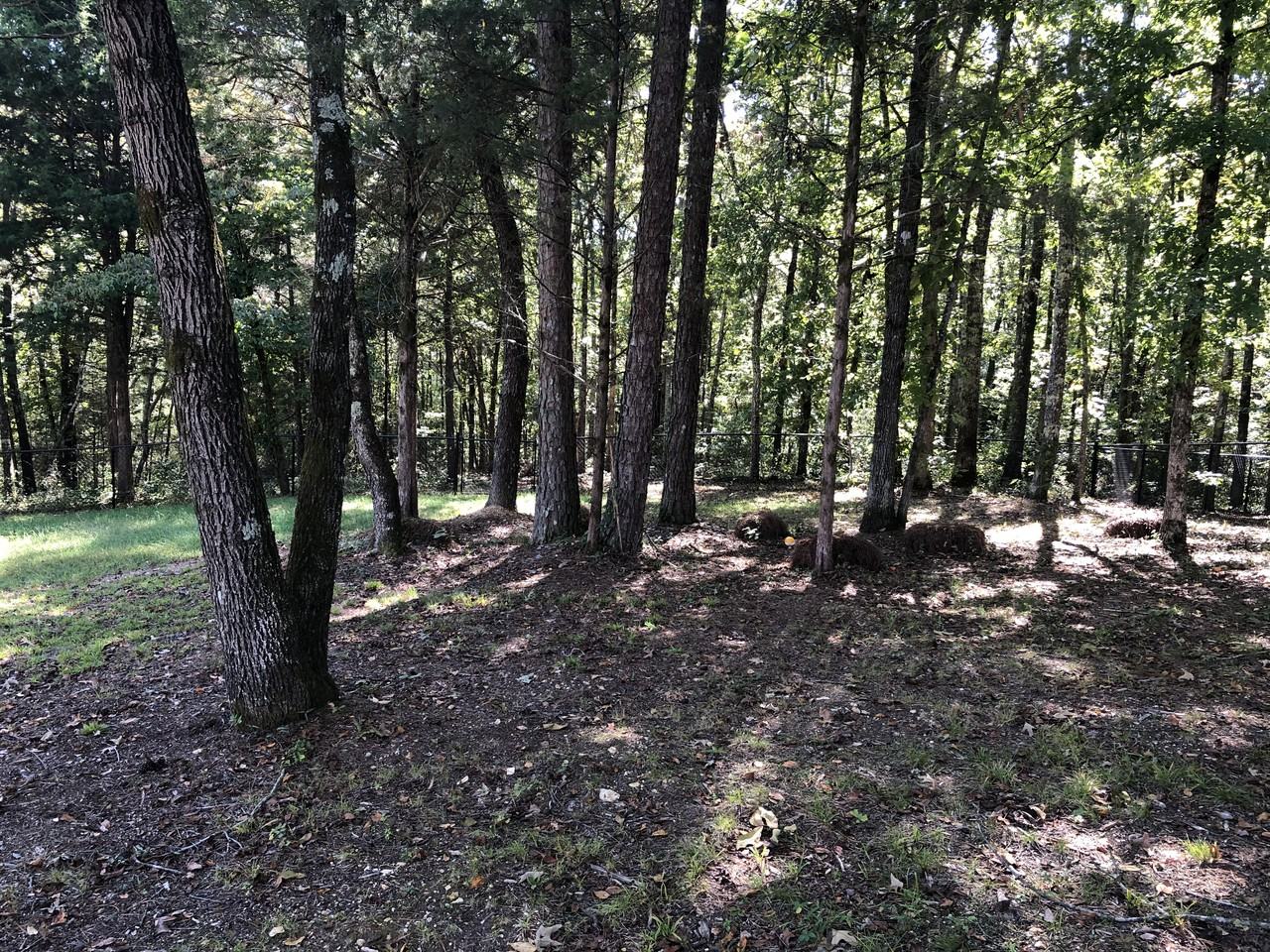 7020 Cooley Rd - Photo 5 of 23