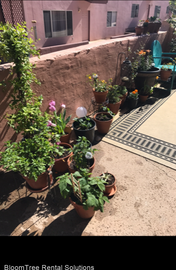 135 Sugarloaf Street - Photo 3 of 12