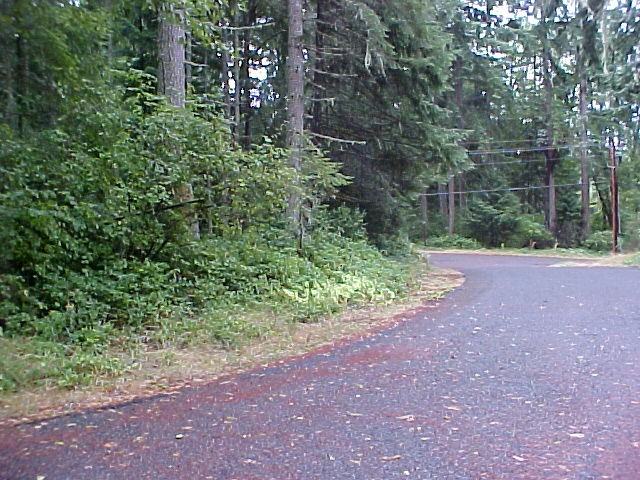 11113 122nd Ave Ct - Photo 2 of 13