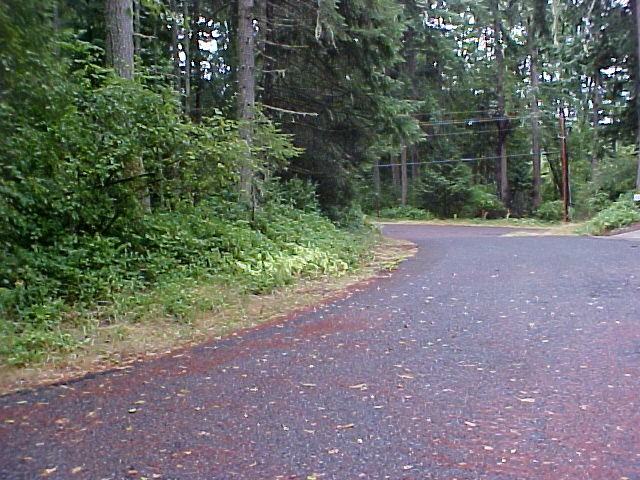 11113 122nd Ave Ct - Photo 3 of 13