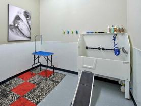 3801 Stone Way N - Photo 1 of 1