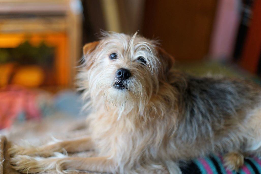 250 Station Cir #3401 - Photo 2 of 6