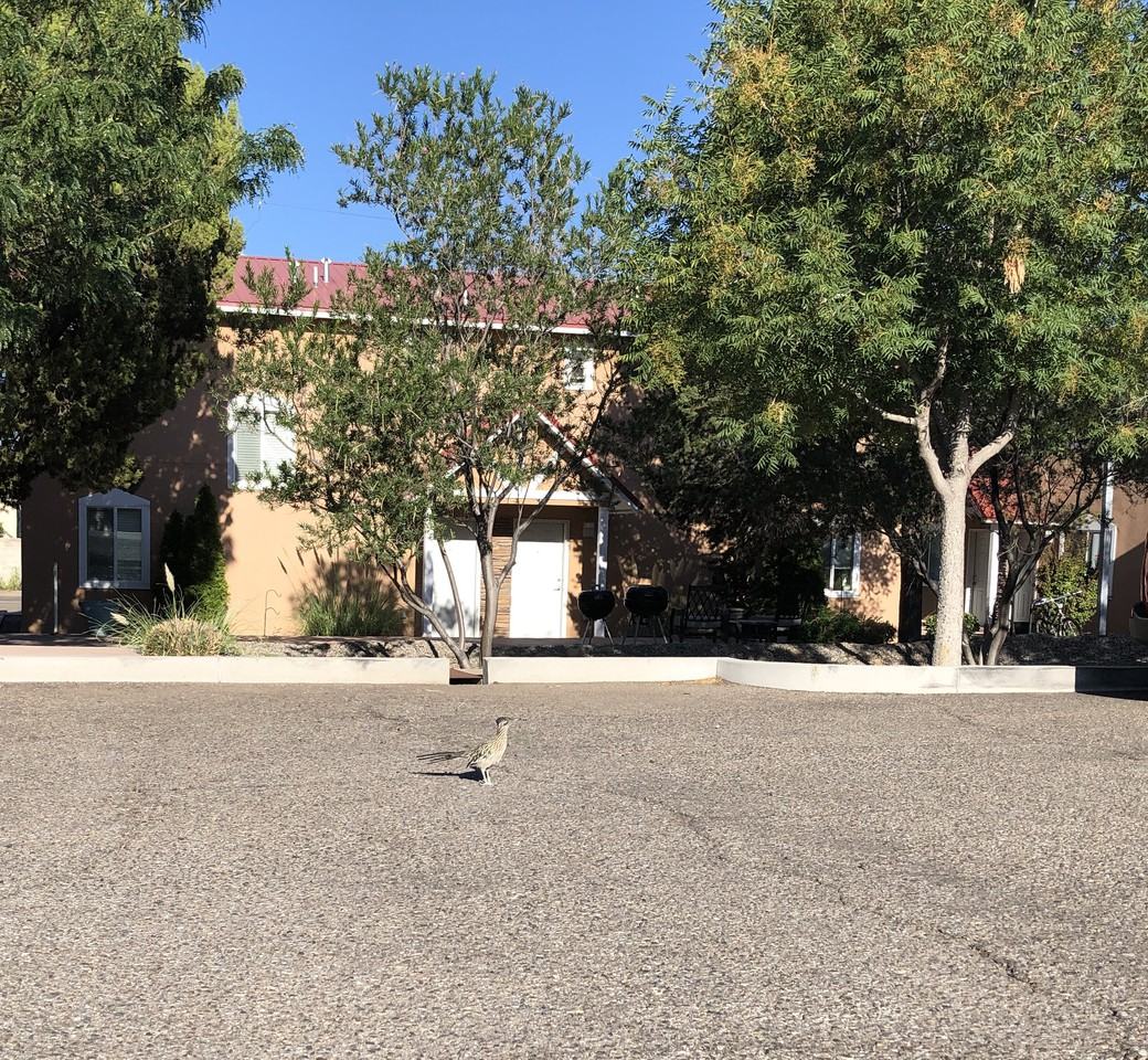 501 Girard Blvd Se - Photo 3 of 50