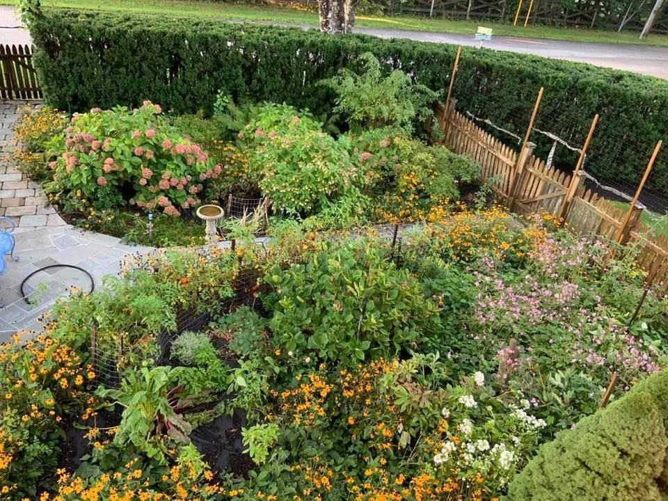 52 Hampton St - Photo 3 of 22