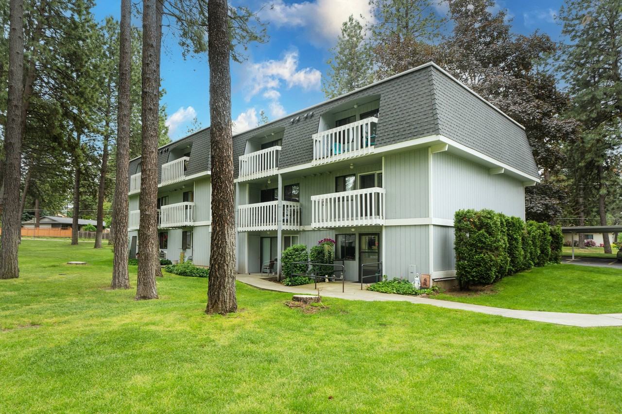 The Grove - Photo 4 of 30