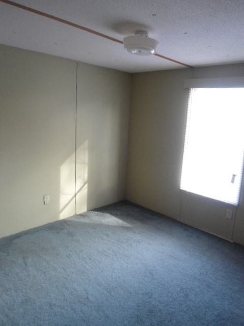 206 Elgin Rd - Photo 3 of 8