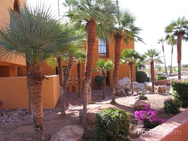 Pebble Creek Apartments - Photo 3 of 23