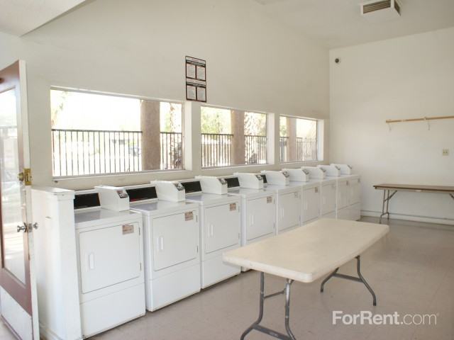 Desert Rose - Photo 2 of 20