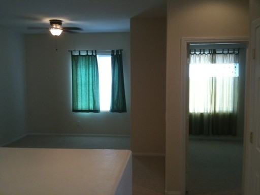 10524 Isola Bella St - Photo 2 of 7