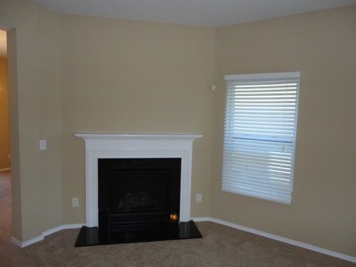 932 Willow Creek Dr - Photo 3 of 10