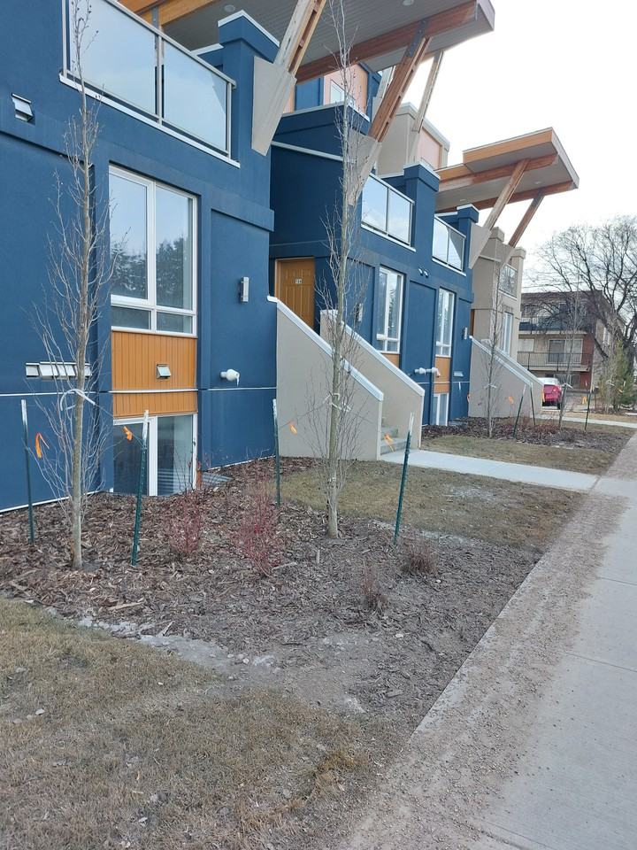 Westmount Complex - Photo 2 of 3