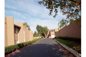 Loma Vista - Photo 3 of 25