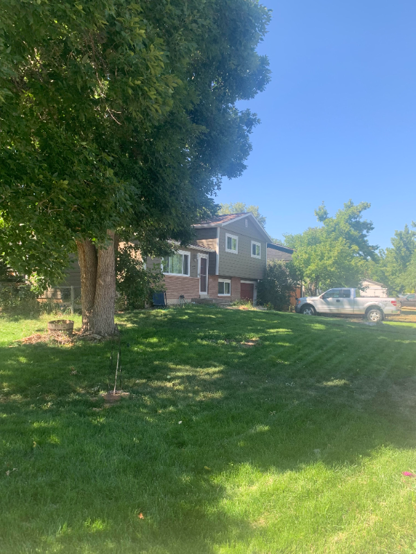 405 Briarwood Rd - Photo 3 of 43