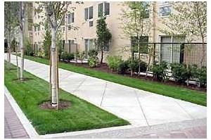 Center Commons - Photo 2 of 19