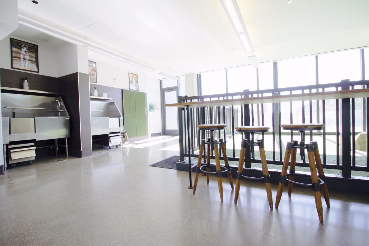 625 W Division St #1-1DEN - Photo 7 of 11