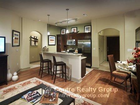 300 2nd Ave #4172 - Photo 6 of 50
