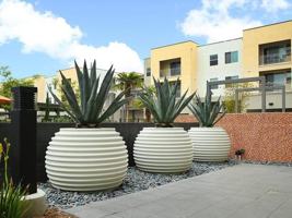 featured image of 500 Forest Park Boulevard