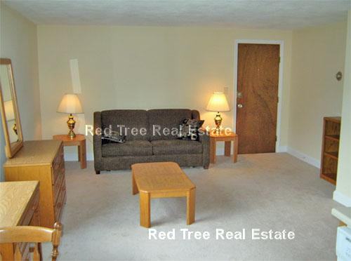 4 Brattle Dr #3 - Photo 5 of 9