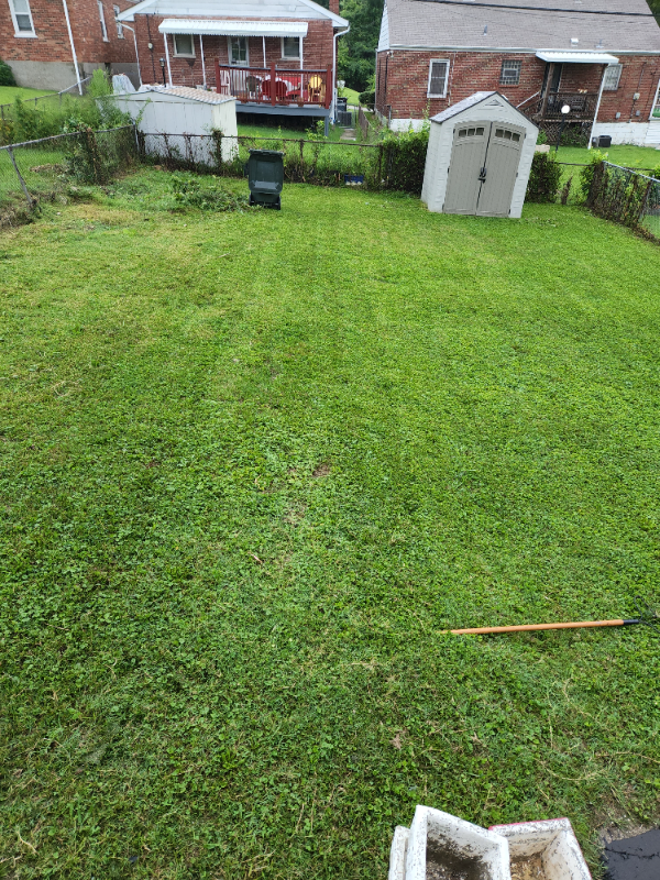 4706 Roxie St - Photo 7 of 7