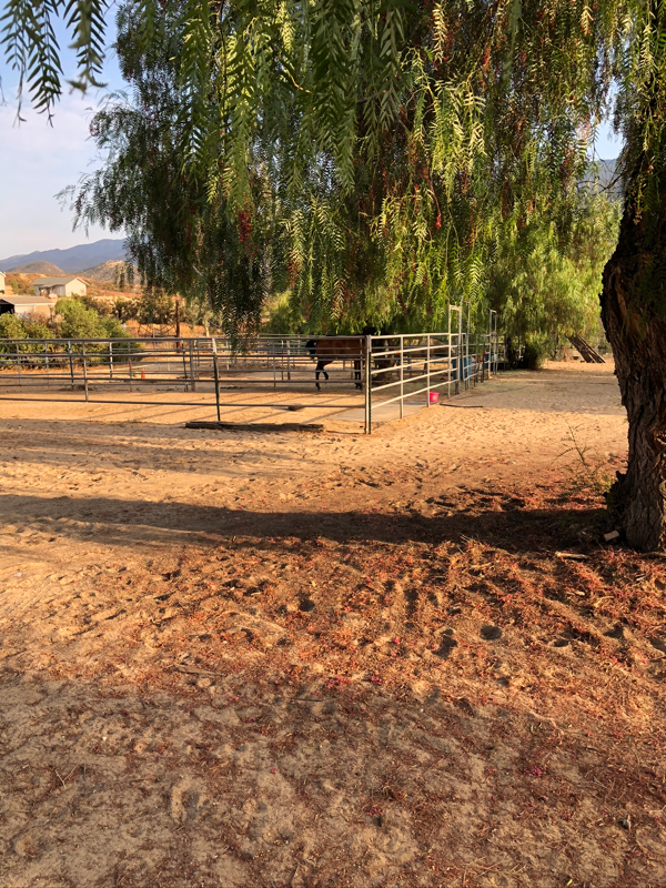 39455 Highway - Photo 3 of 20