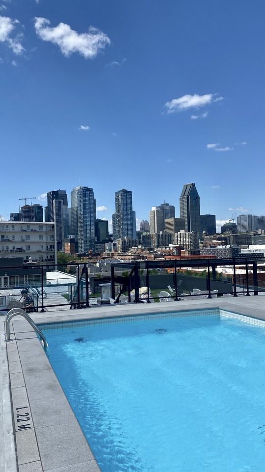 Le Charlotte - Photo 3 of 29