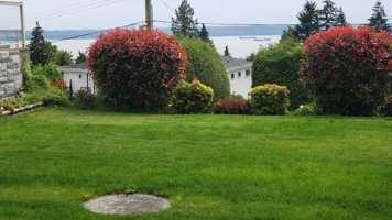 featured image of Ottaburn Rd & 11th St