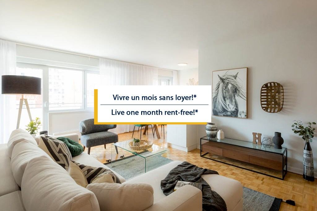 Apartments for Rent In CôteDesNeiges, Montréal, QC 27 Rentals Available Zumper