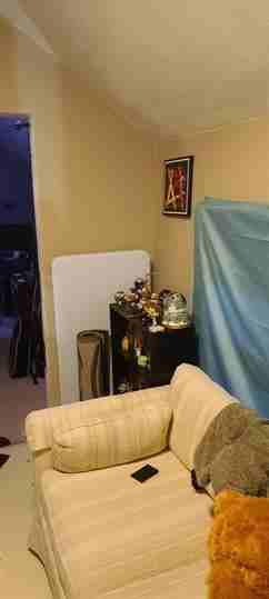 525 Chestnut St #2 - Photo 5 of 6