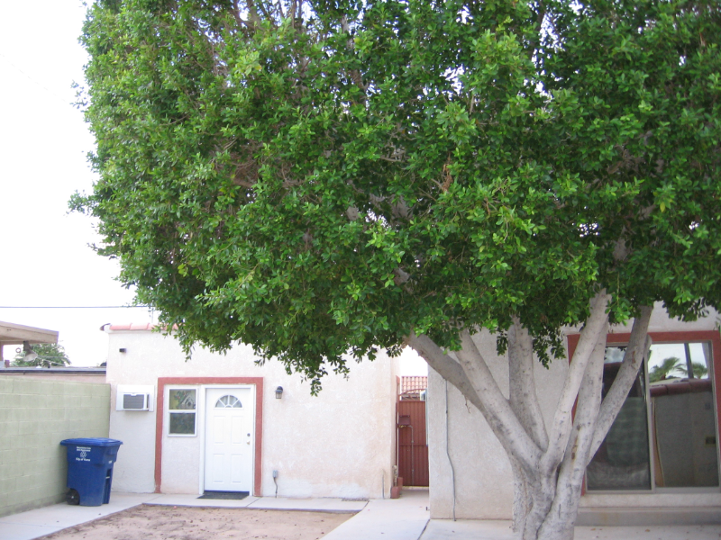 805 S 7th Ave - Photo 2 of 12