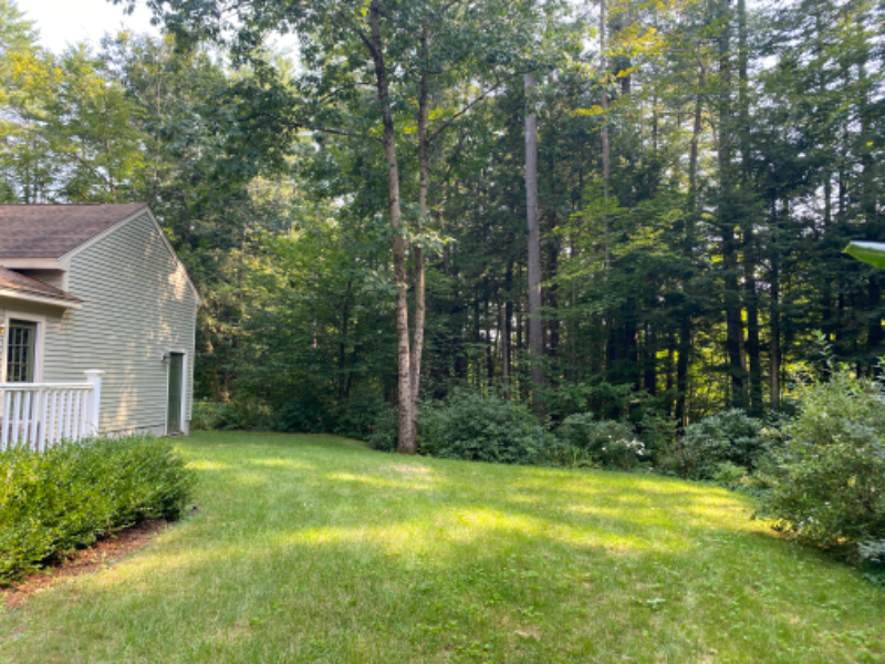 63 Perry Ln - Photo 3 of 14