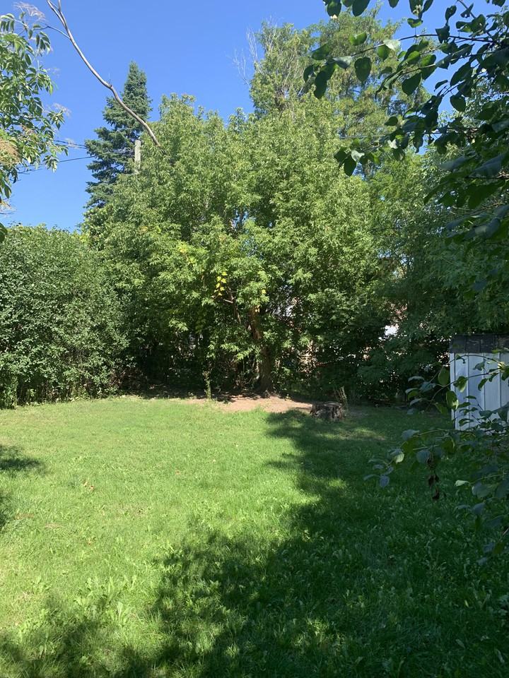 668 Park Street North - Photo 3 of 19