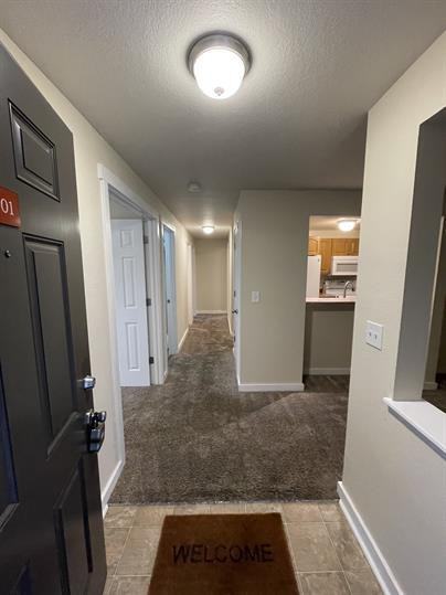 J15433 - Photo 3 of 30