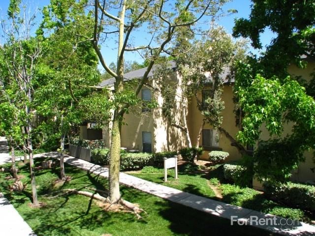 Mountain Creek - Photo 2 of 17