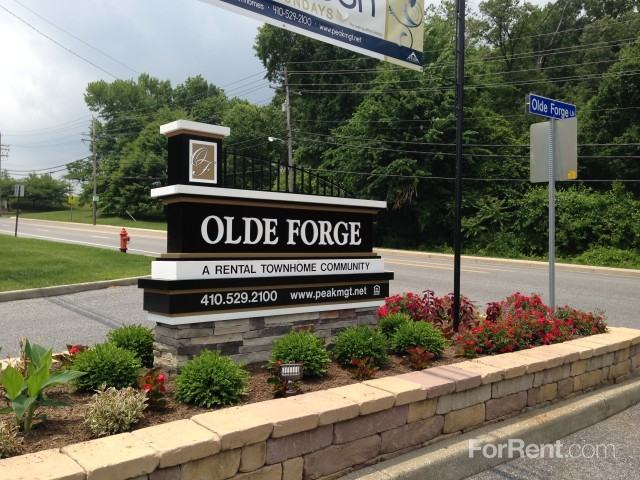 Olde Forge Townhomes/Hallfield Manor Apts - Photo 2 of 59