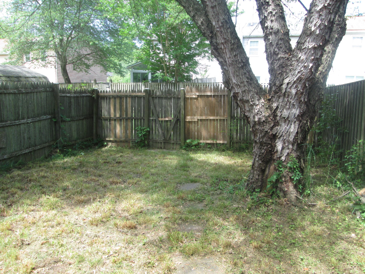 9013 Cheval Ln - Photo 2 of 7