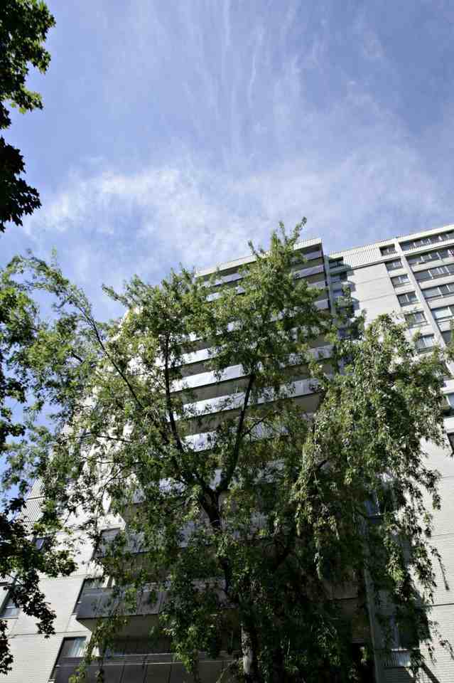 6200 Bathurst Street - Photo 3 of 13