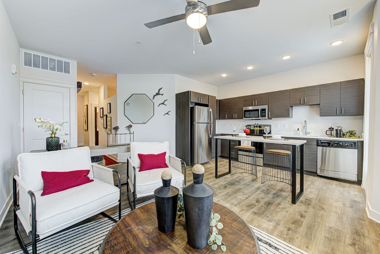 The Line - Photo 4 of 89