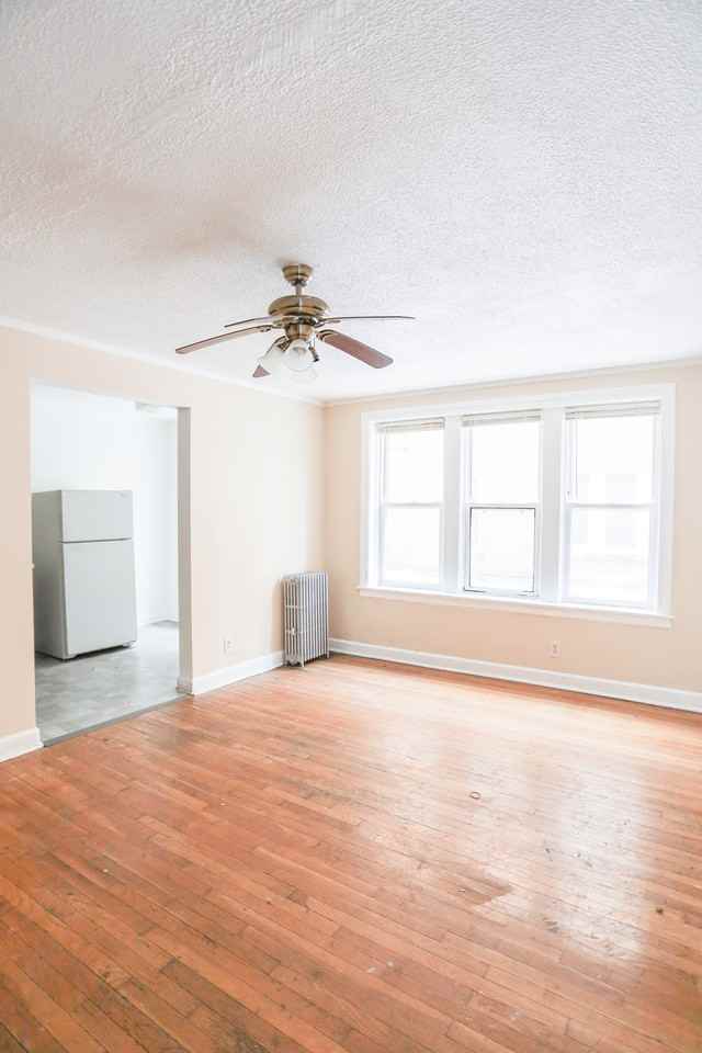 5931 N Northwest Hwy #1B - Photo 2 of 4