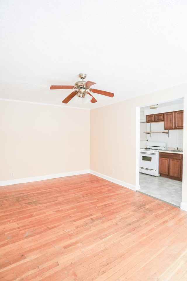 5931 N Northwest Hwy #1B - Photo 4 of 4